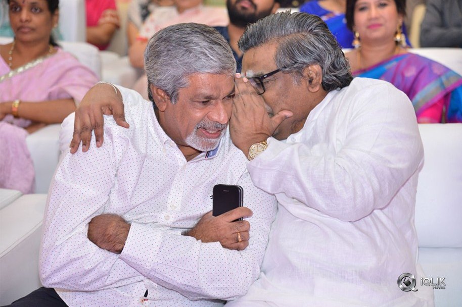 Happy-Wedding-Pre-Release-Event-Photos